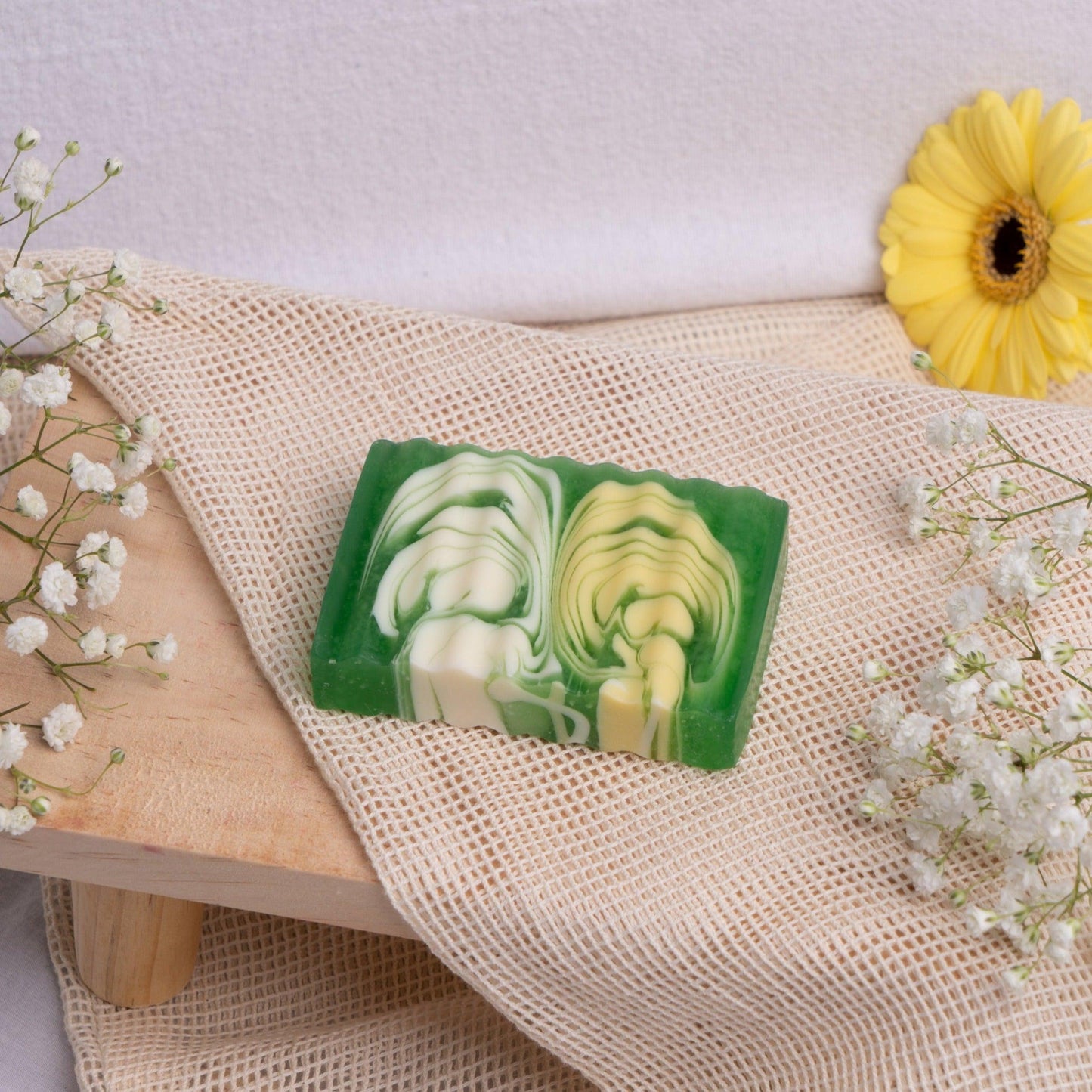 Jolly - Mangue - FreshyFresh